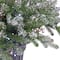 24" Feel Real® Snowy Morgan Spruce Porch Bush in Silver Brushed Plastic Urn with Cones & Champagne Berries